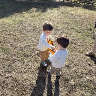 Childhood Playtime in the Meadow