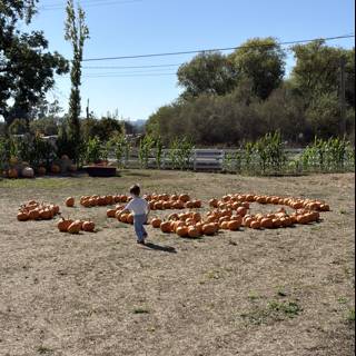 Autumn Adventures in the Pumpkin Patch