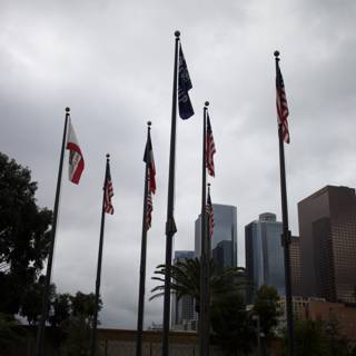 The Flags of America in the City