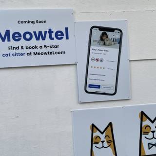 Introducing Meowtel - The App That Makes Cats Purrfectly Happy
