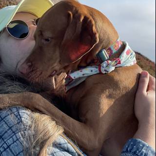 Woman and Weimaraner Enjoying a Sunny Day in Jenner