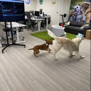 Canine Chaos in the Office