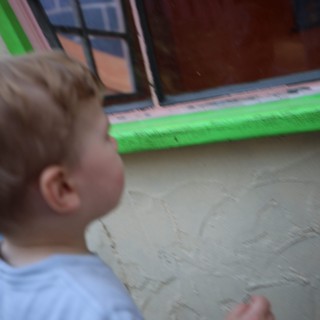 Young Child Gazing Through Glass Door at Fantasyland