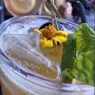 Herbal Cocktail with Lemon and Flower