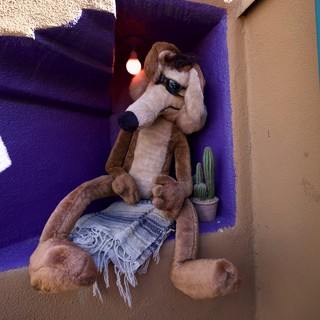 Plush Dog Relaxing in Purple Adobe Alcove