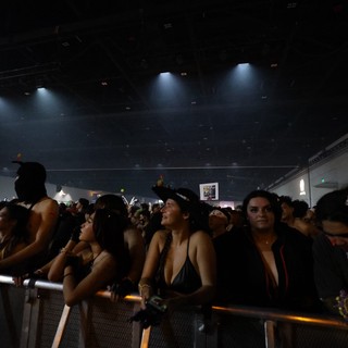 Crowd Surges at Wobbleland 2026 Festival