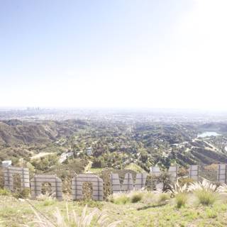 Hollywood Sign from Griffith Hill