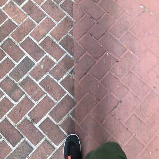 Brick Sidewalk Sneaks
