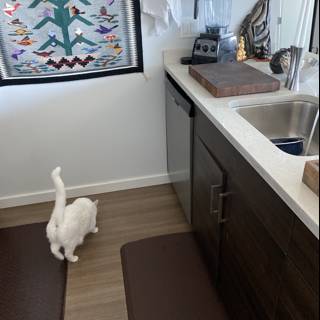 The White Kitchen Cat
