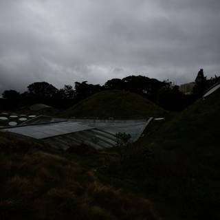 The Lush Green Roof of the New Zealand National Museum