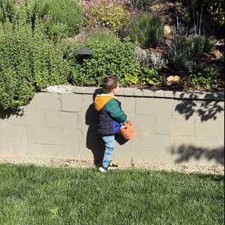 Springtime Adventures in the Garden