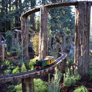 Miniature Train Adventure Through Nature
