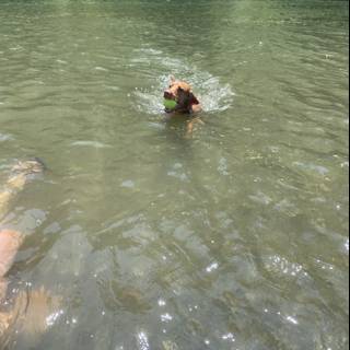 The Joy of Summer Swimming with Man's Best Friend