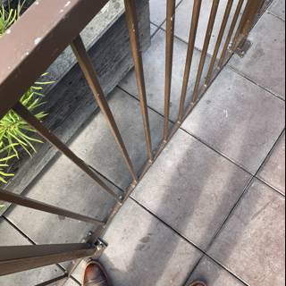 Brown Shoes on Stairway