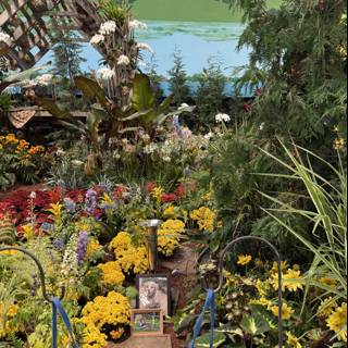 Botanical Bliss in Santa Rosa