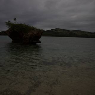 Solitary Tree on Sea Stone