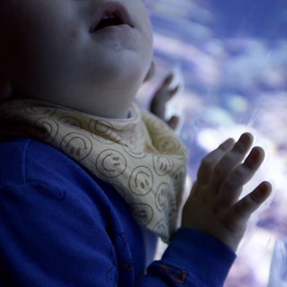 Child's Wonder Gazing at Blue Jellyfish Display