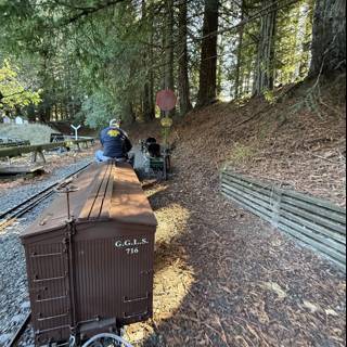 Tranquil Train Ride through Nature