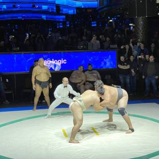 Sumo Showdown at Casino Royal