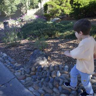 A Stroll Through Nature's Path