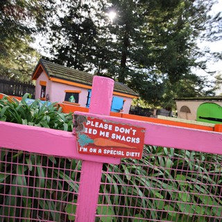 Colorful Animal Enclosure with Special Diet Warning Sign