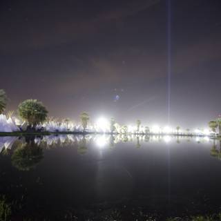 Palm Tree Lake at Night