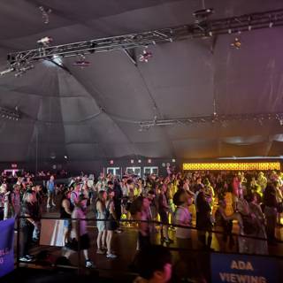 Electric Rhythms and Vibrant Crowds