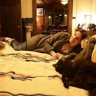 felines