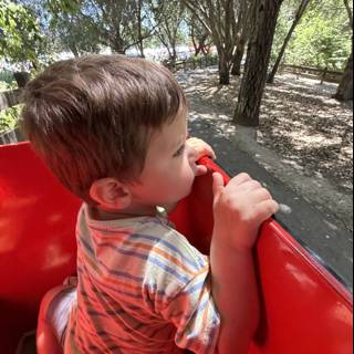 Summer Daydreams at the Park