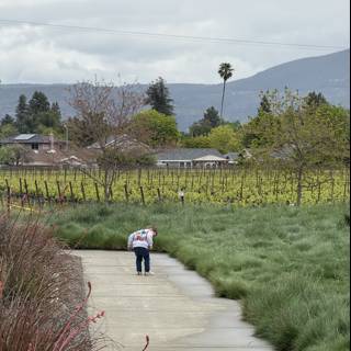 Exploring Nature's Path