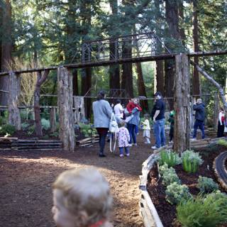 Strolling Through Enchanted Woodlands
