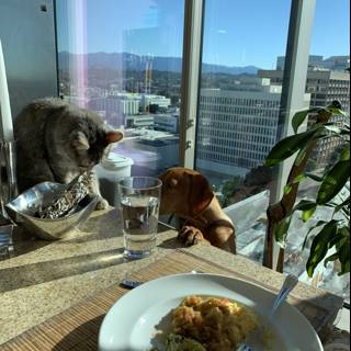 A Cozy Lunch with Furry Companions