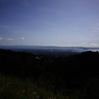 A Panoramic View of Berkeley Hillside