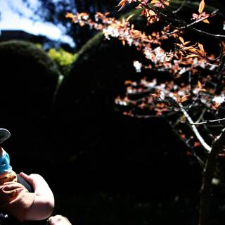 A Blossoming Bond in the Japanese Tea Garden