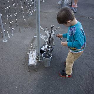 Curious Mind at Play