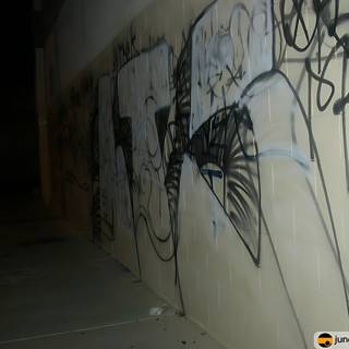 Nighttime Graffiti