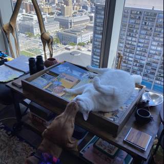 Canine and Feline Roommates in SF