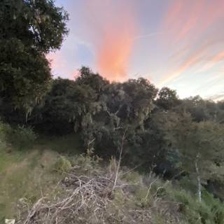 Serene Sunset Over the Carmel Valley