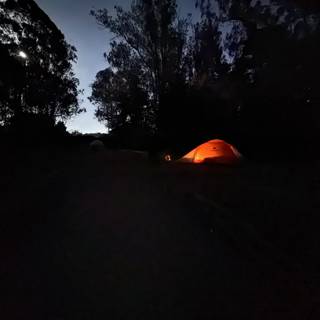 An Illuminated Night Under the Stars at Presidio