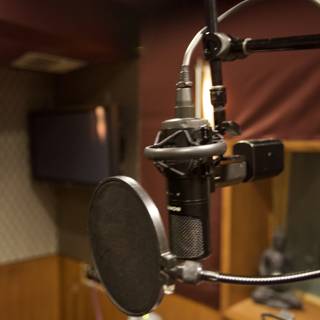 Studio Microphone in Wooden Surroundings