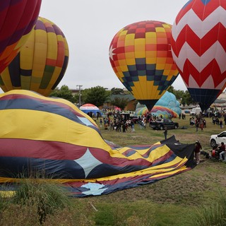 Colorful Hot Air Balloons Fill the Sky at Festival