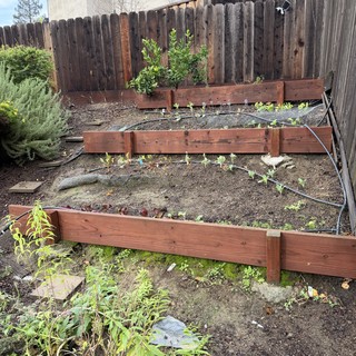 Aerial View of Weathered Garden Bed with Wooden Borders