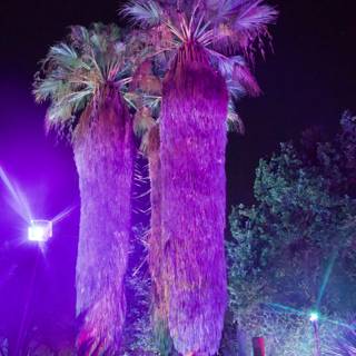Enchanted Palms in Purple Glow