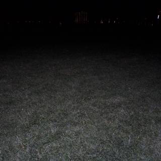 Midnight Meadow