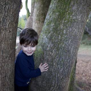 Woodland Adventures