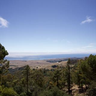 Tranquil Overlook