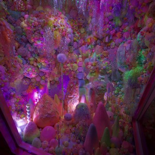 whimsical-dreamlike-enchanting-psychedelic
