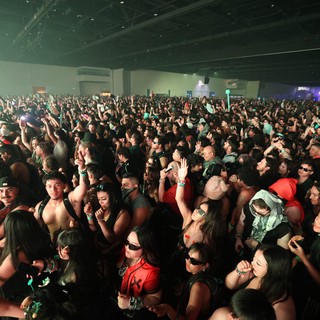 Massive Crowd Surges at Wobbleland 2026 Festival