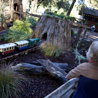 Miniature Railways and Woodland Wonders