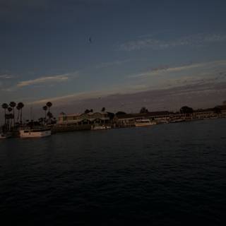 Sunset Kite Flying at the Harbor